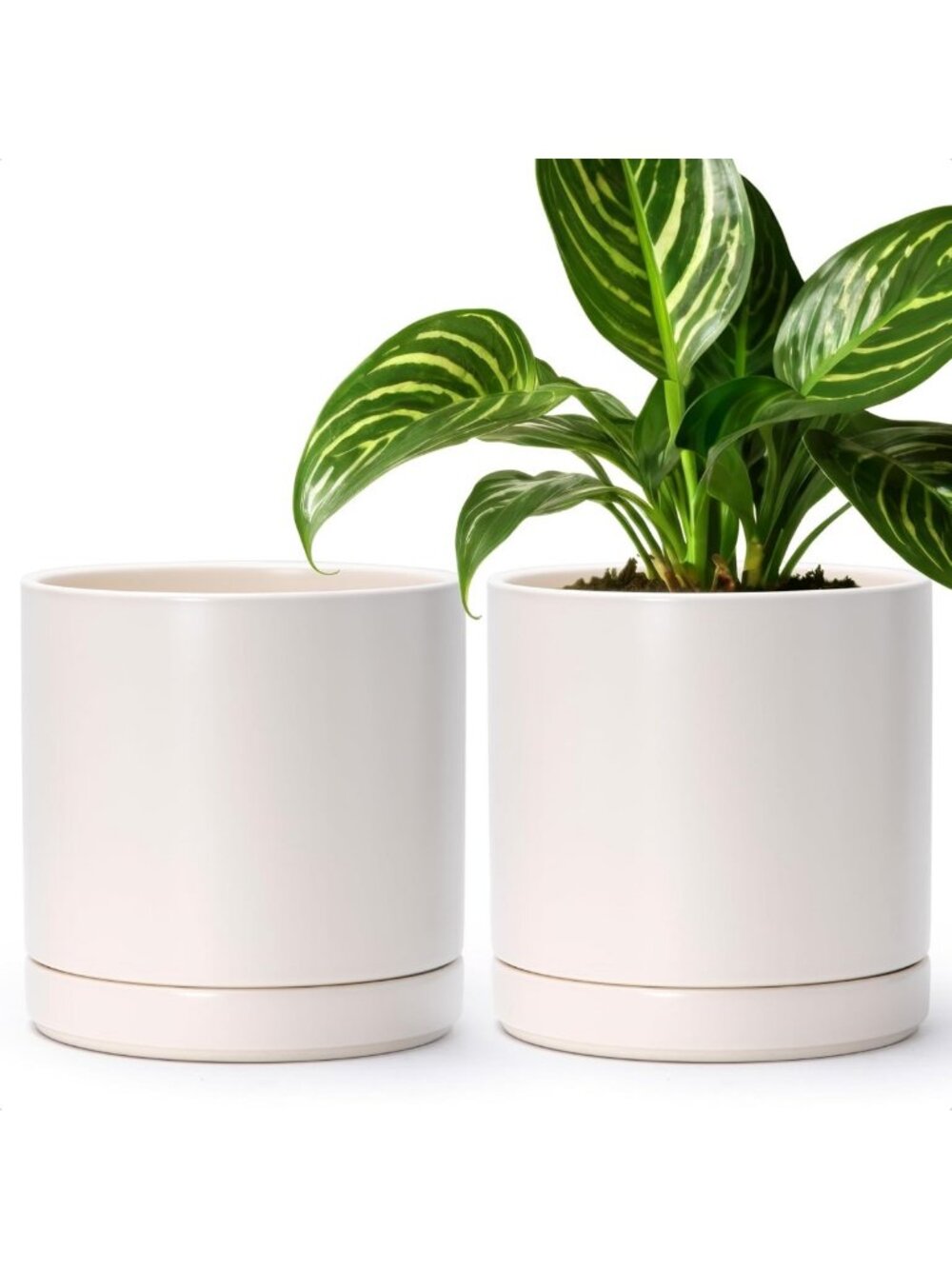 Set of 2 Oatmeal Ceramic Plant Pots with Saucers - 8.2 Inch Indoor Decor